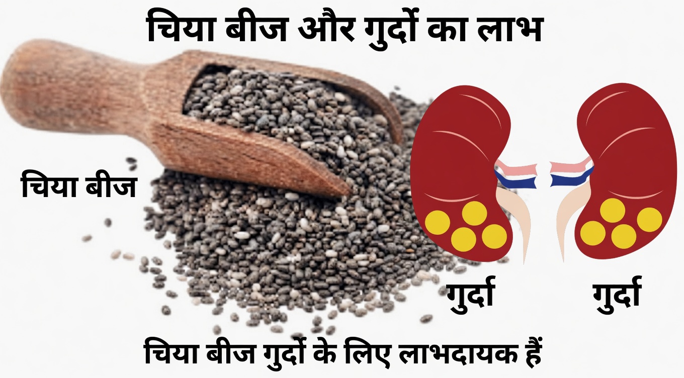 किडनी के स्वास्थ्य समर्थन के लिए रोज़ाना एक चम्मच चिया सीड्स लेने के बारे में आपको क्या जानना चाहिए