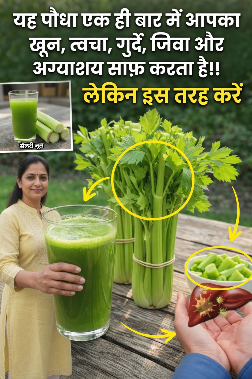 सेलेरी जूस: बेहतर स्वास्थ्य के लिए एक सरल दैनिक आदत जिसे कई लोग अपना रहे हैं