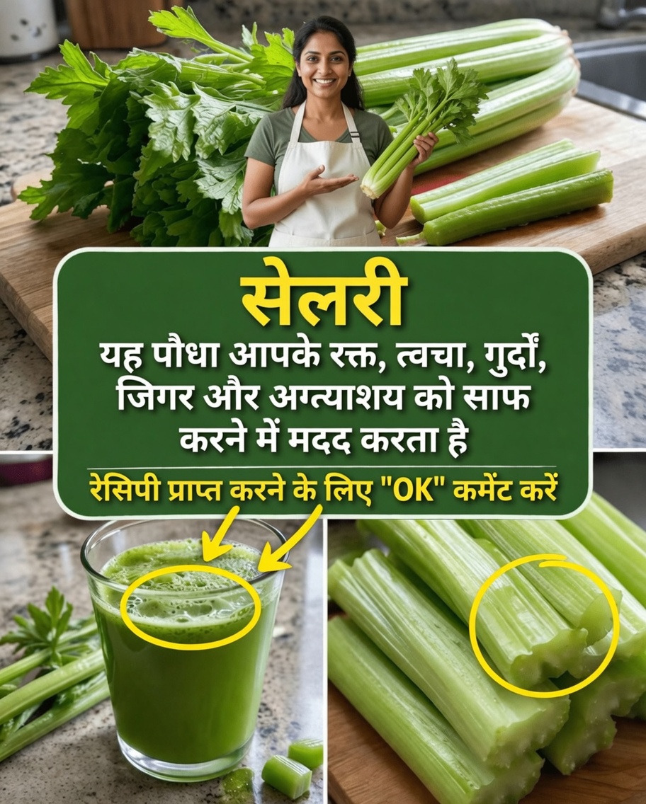 सेलेरी आपकी वेलनेस दिनचर्या में कैसे फिट हो सकती है: आसान जूस रेसिपी और आज़माने के लिए व्यावहारिक सुझाव