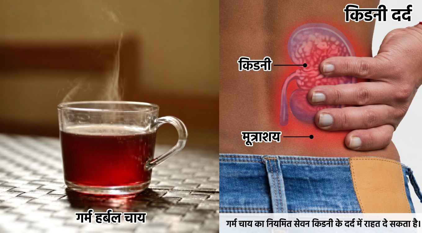 जानिए 8 ताज़गीभरे प्राकृतिक पेय जो हर दिन आपके गुर्दों के स्वास्थ्य को सहारा देने में मदद कर सकते हैं