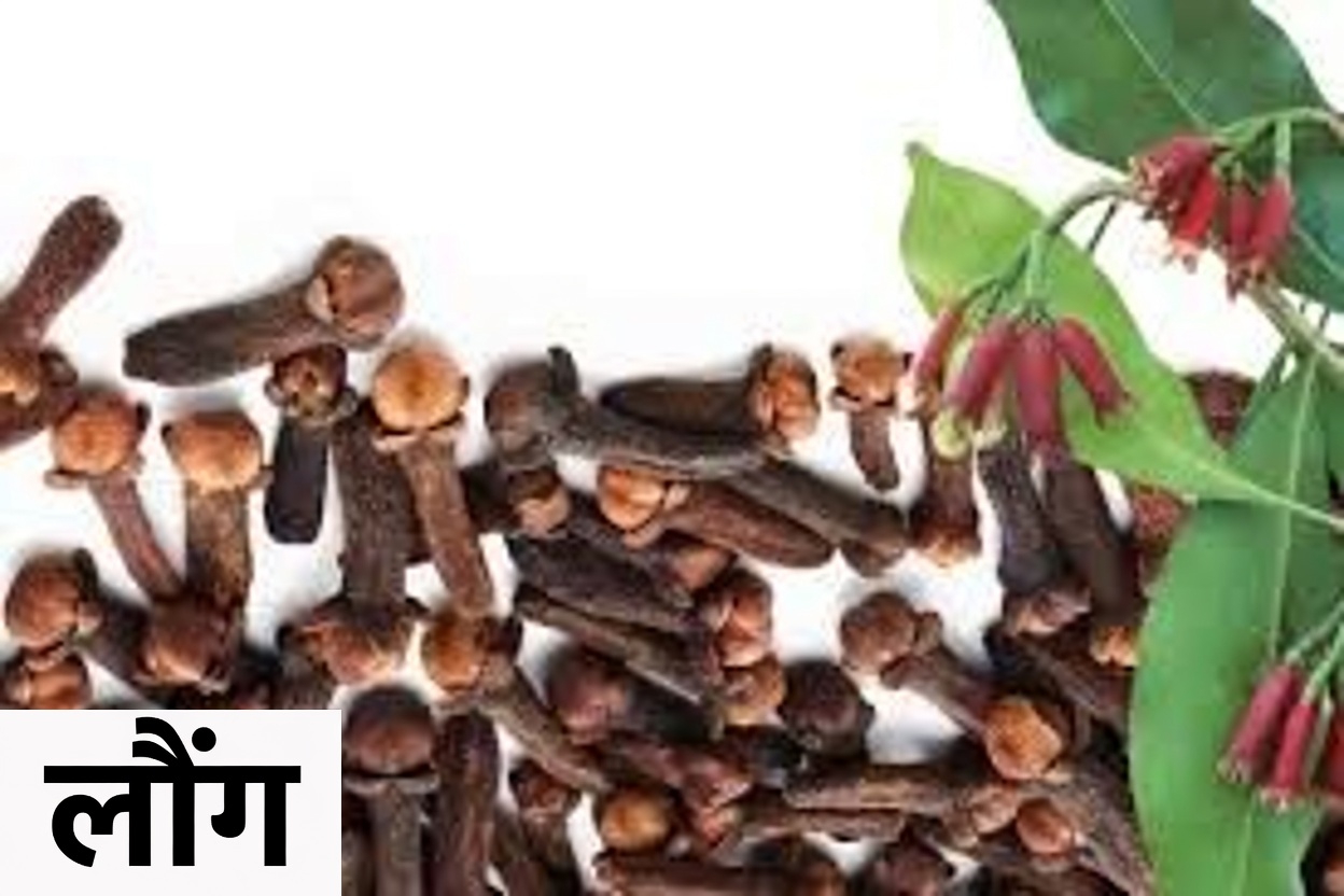 जब आप हर दिन 2 लौंग खाते हैं तो क्या होता है: इस लोकप्रिय स्वास्थ्य आदत पर एक करीब से नज़र