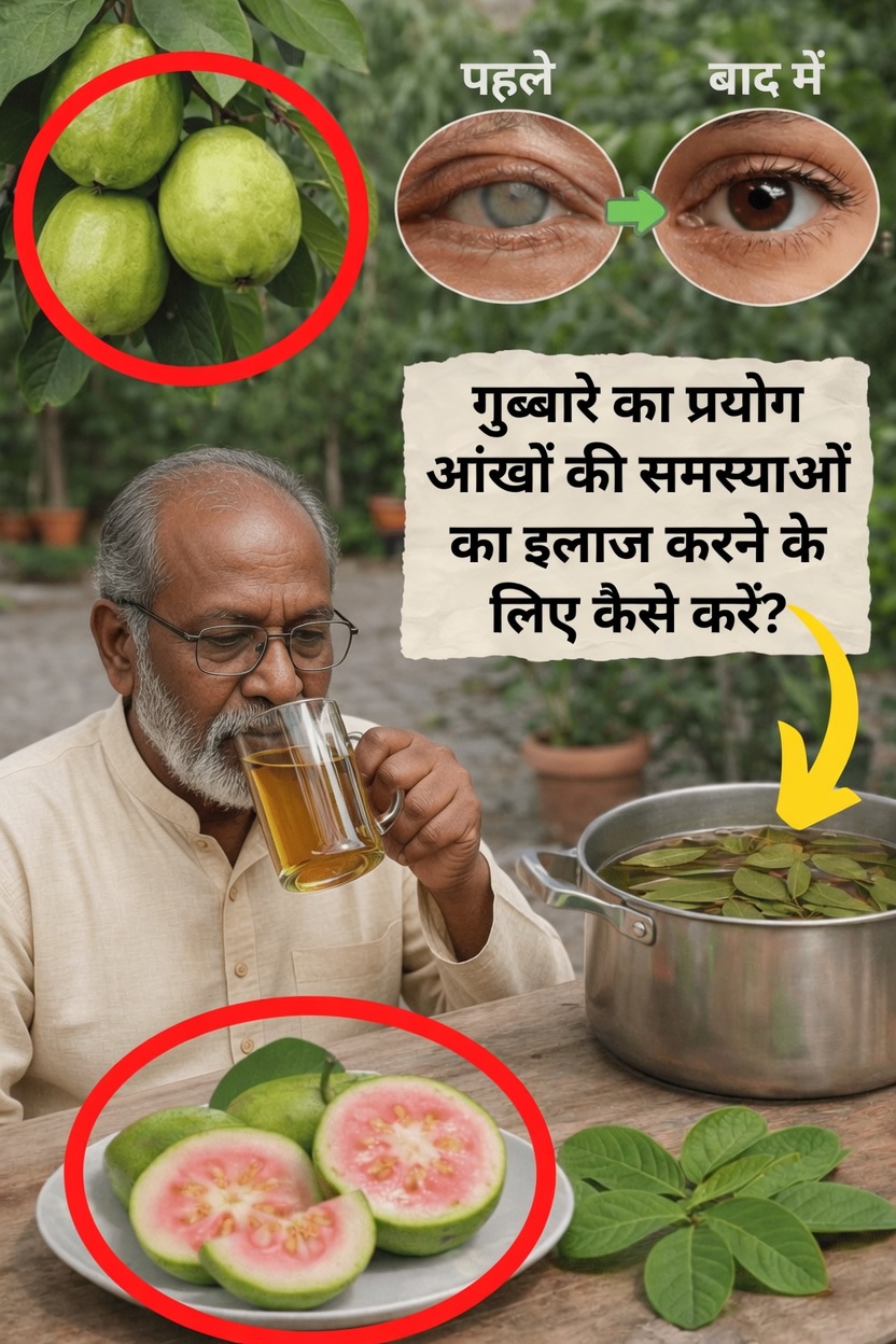 रोज़मर्रा की आँखों की सेहत के लिए अमरूद के पत्तों और फल की पड़ताल