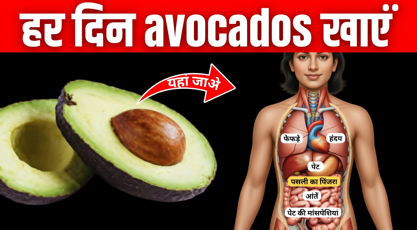 क्या आपने दैनिक स्वास्थ्य समर्थन के लिए एवोकाडो के बीज की चाय आज़माई है?