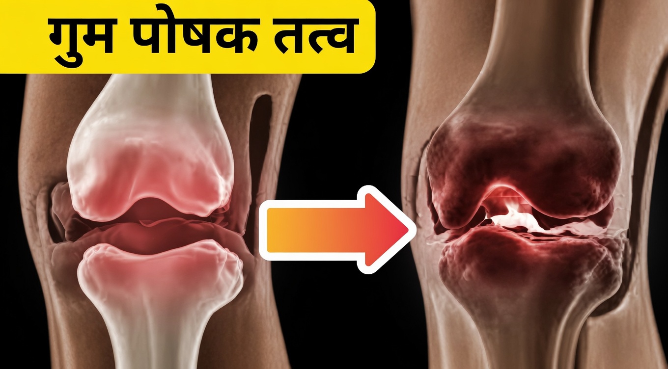 क्या जिलेटिन वास्तव में उम्र बढ़ने के साथ घुटने की उपास्थि और जोड़ों के आराम को सहारा देने में मदद कर सकता है?