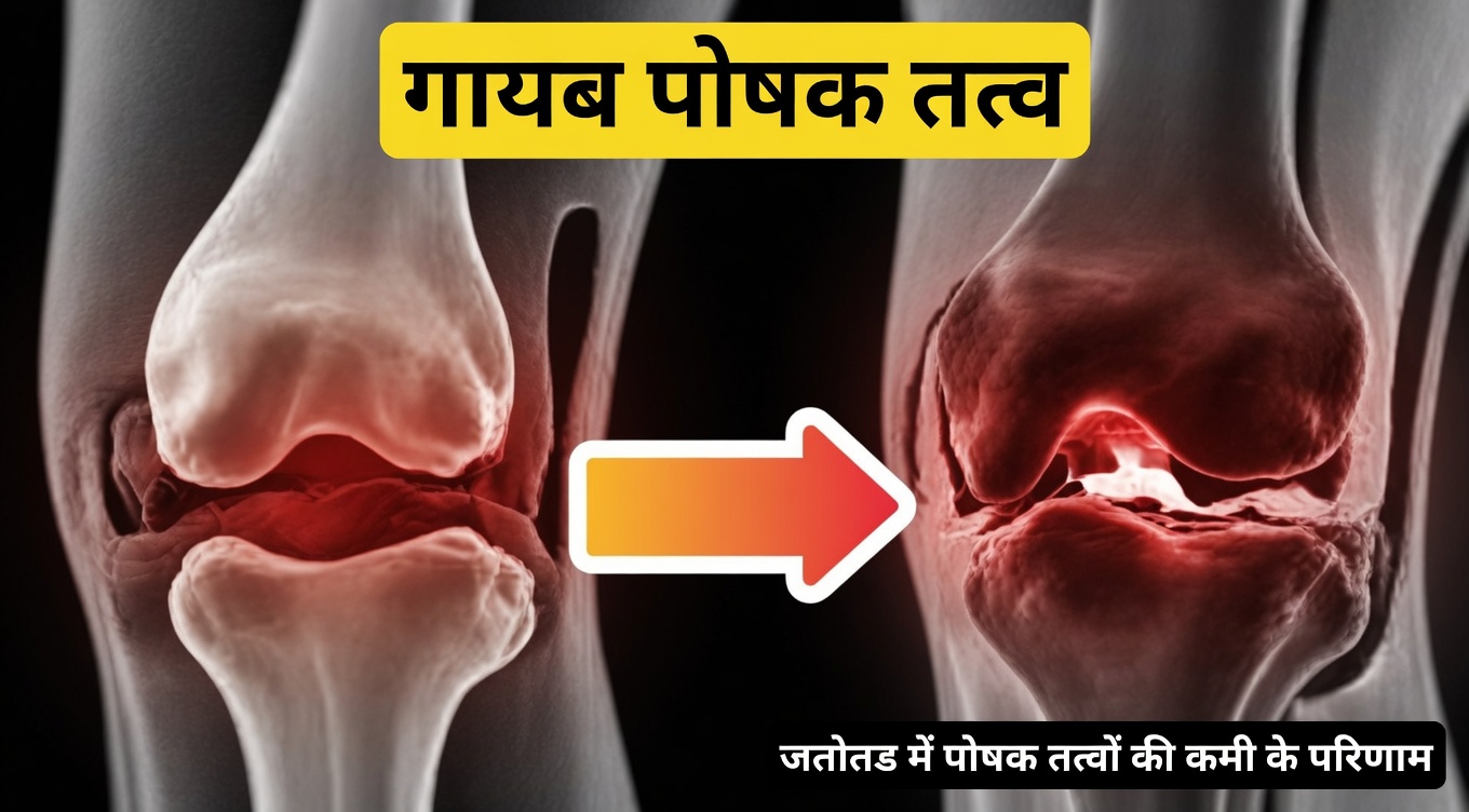 क्या जिलेटिन वास्तव में उम्र बढ़ने के साथ घुटने की उपास्थि और जोड़ों के आराम को सहारा देने में मदद कर सकता है?