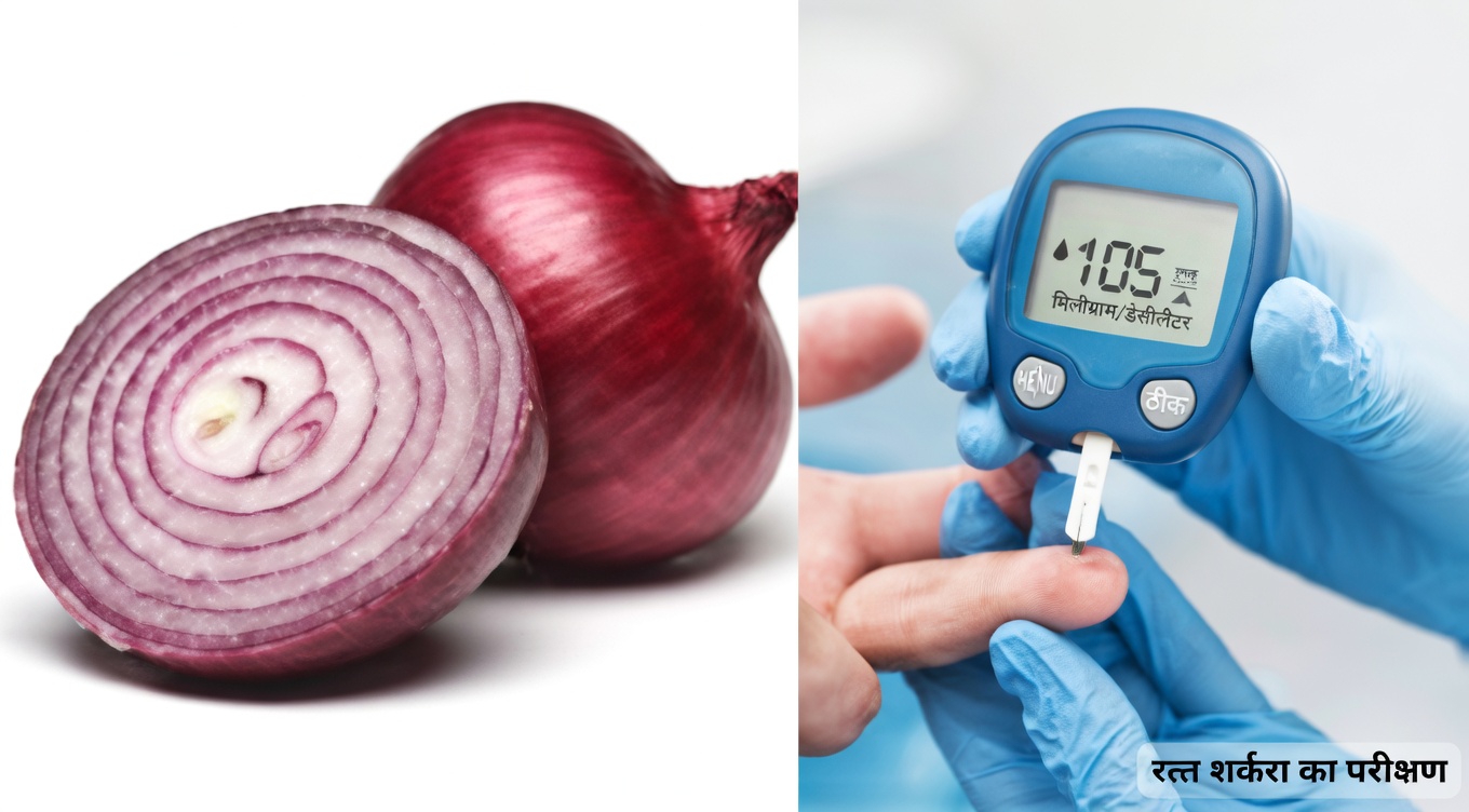 लाल प्याज: स्वस्थ रक्त शर्करा और कोलेस्ट्रॉल स्तर को समर्थन देने के सरल तरीके