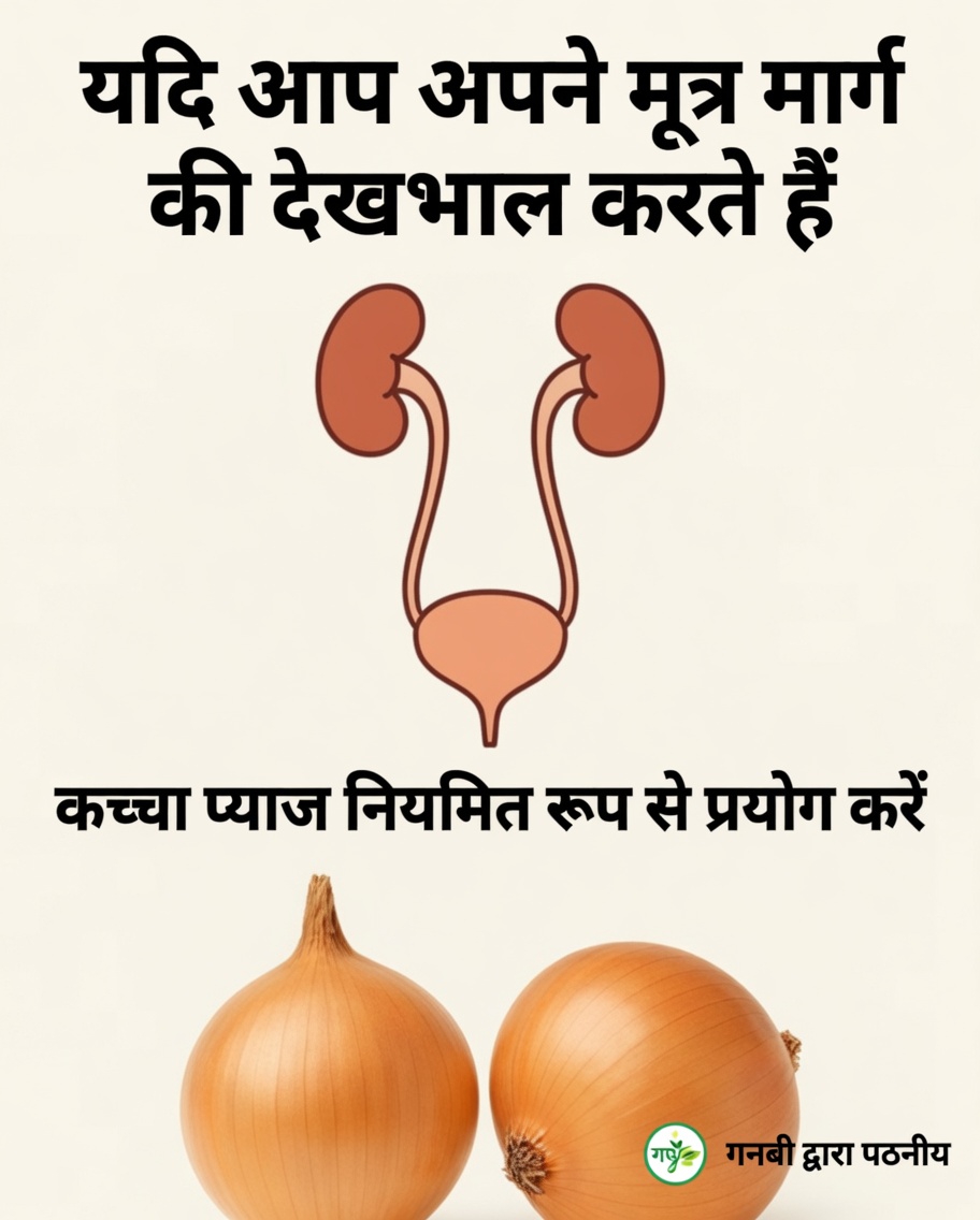 क्या आपने रोज़मर्रा के मूत्र संबंधी आराम के लिए प्याज़ की चाय आज़माई है?