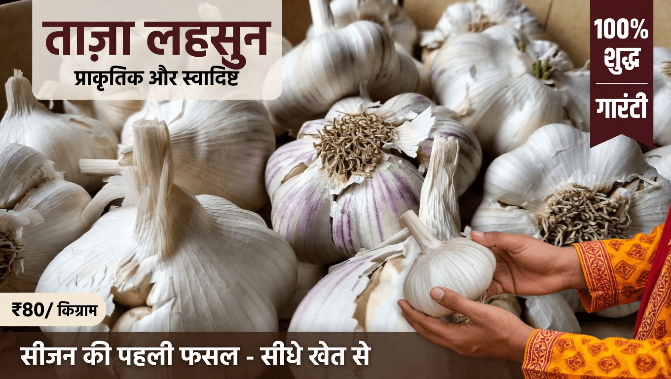 क्या गलत तरीके से रखा गया लहसुन आपकी रसोई में सचमुच एक छिपा हुआ खतरा है? सुरक्षित भंडारण और उपयोग के लिए जानने योग्य सुझाव