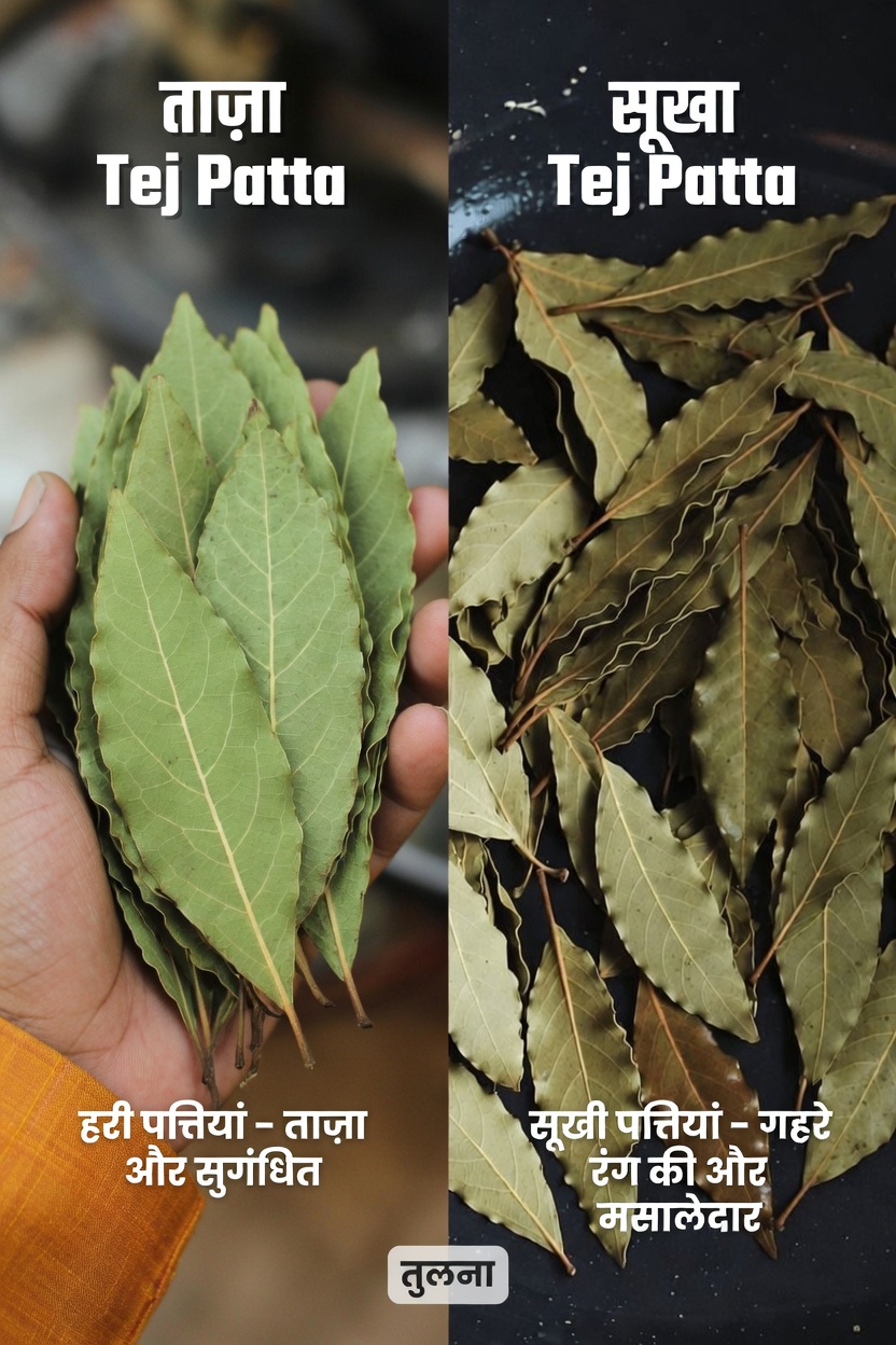 त्वचा के स्वास्थ्य के लिए तेज पत्ता: इस आम जड़ी-बूटी के पारंपरिक उपयोगों, आदतों और विज्ञान क्या सुझाता है, जानें