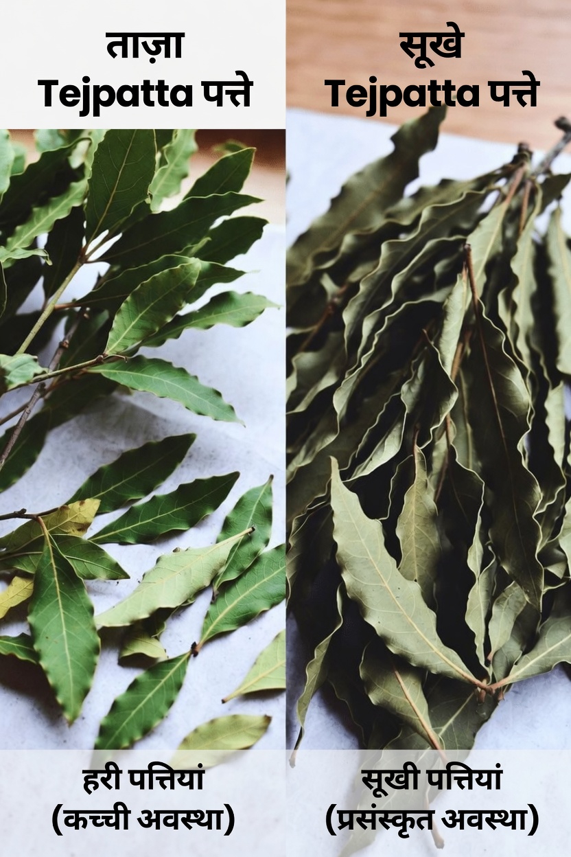 त्वचा के स्वास्थ्य के लिए तेज पत्ता: इस आम जड़ी-बूटी के पारंपरिक उपयोगों, आदतों और विज्ञान क्या सुझाता है, जानें