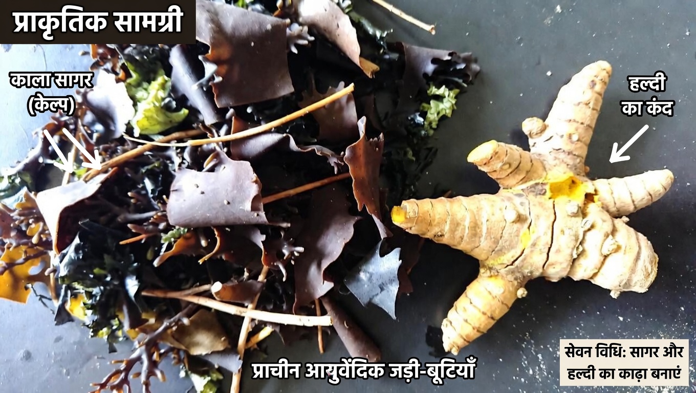 रोज़मर्रा की आदतों और भोजन के चुनावों के ज़रिए थायरॉइड स्वास्थ्य को सहारा देने के सरल तरीके