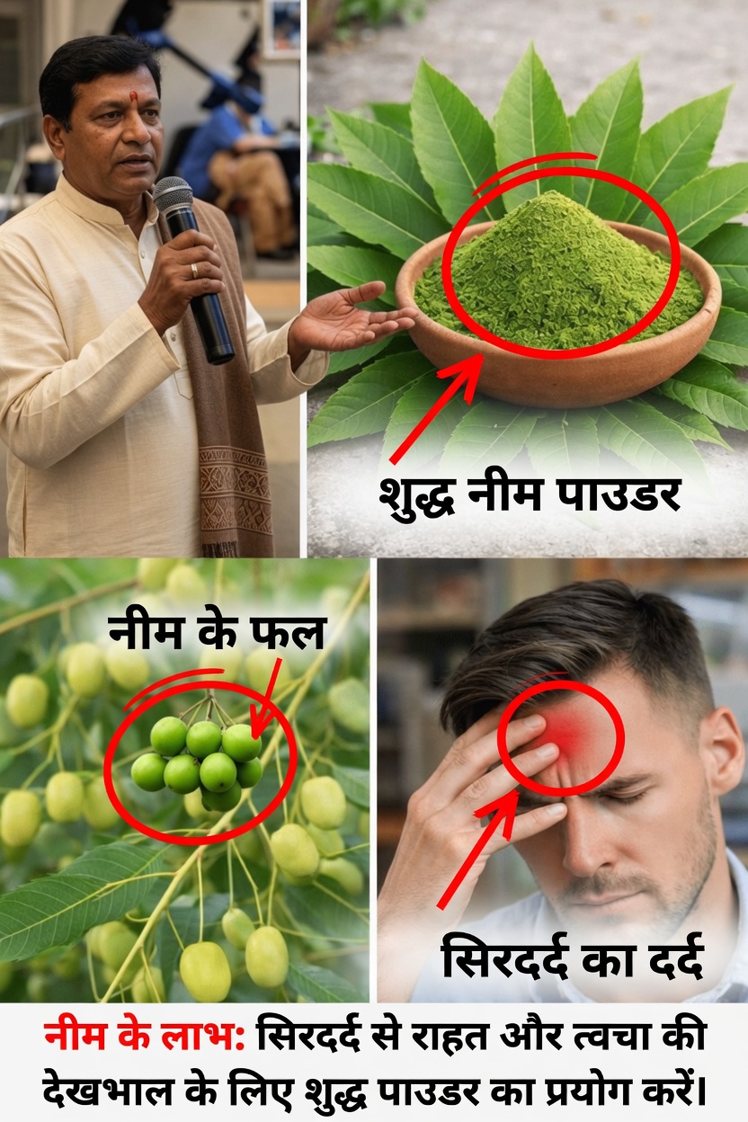 मोरिंगा ओलिफेरा की पत्तियाँ: पोषण संबंधी जानकारी और स्वास्थ्य समर्थन के लिए रोज़मर्रा के उपयोगों की पड़ताल