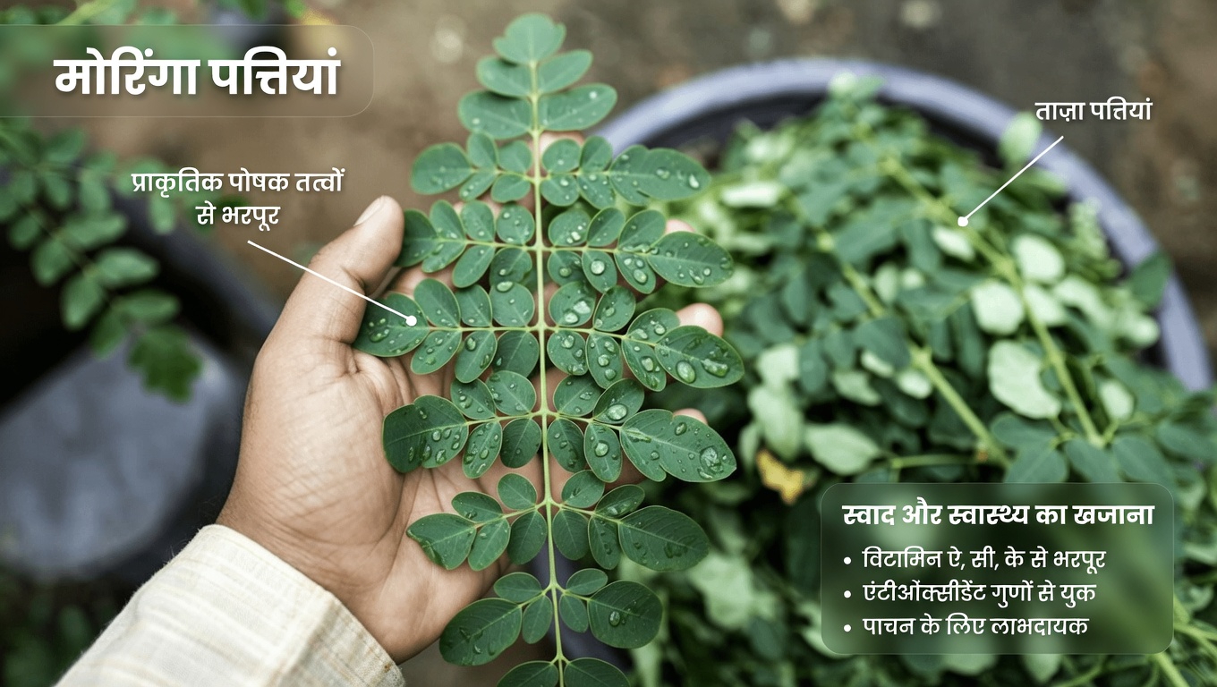 क्या अपनी दैनिक दिनचर्या में मोरिंगा की पत्तियां शामिल करने से किडनी के स्वास्थ्य और समग्र सेहत को सहारा मिल सकता है?