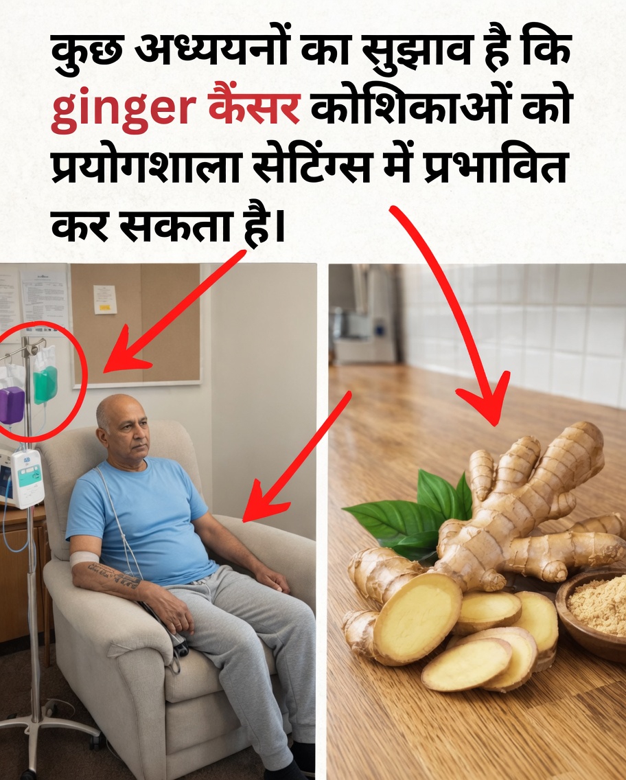 प्रयोगशाला अध्ययनों में कैंसर स्टेम कोशिकाओं के साथ अदरक की संभावित अंतःक्रिया के बारे में नवीनतम शोध क्या बताता है?