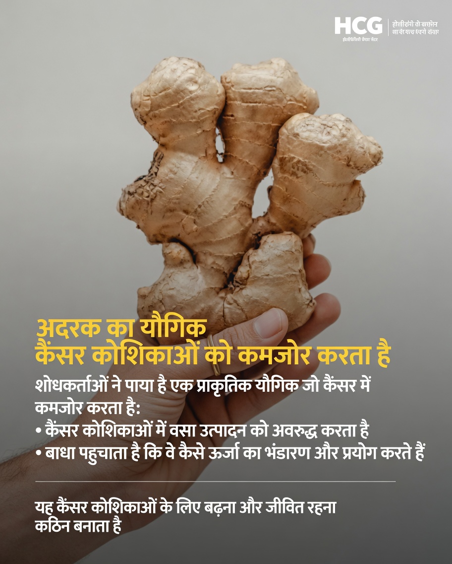 प्रयोगशाला अध्ययनों में कैंसर स्टेम कोशिकाओं के साथ अदरक की संभावित अंतःक्रिया के बारे में नवीनतम शोध क्या बताता है?