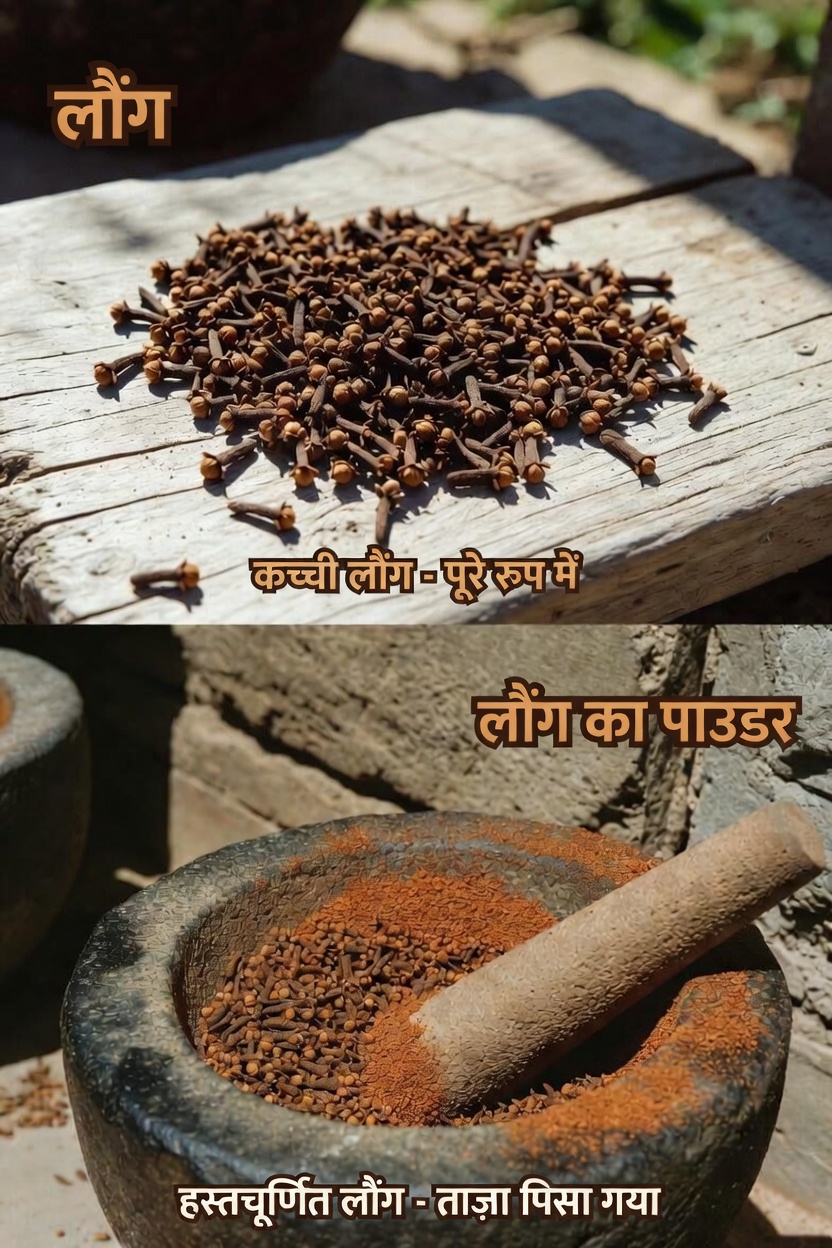 बालों की वृद्धि के लिए लौंग: क्या यह प्राचीन मसाला घनी भौहों, लंबी पलकों और लंबे बालों को सहारा देने में मदद कर सकता है?