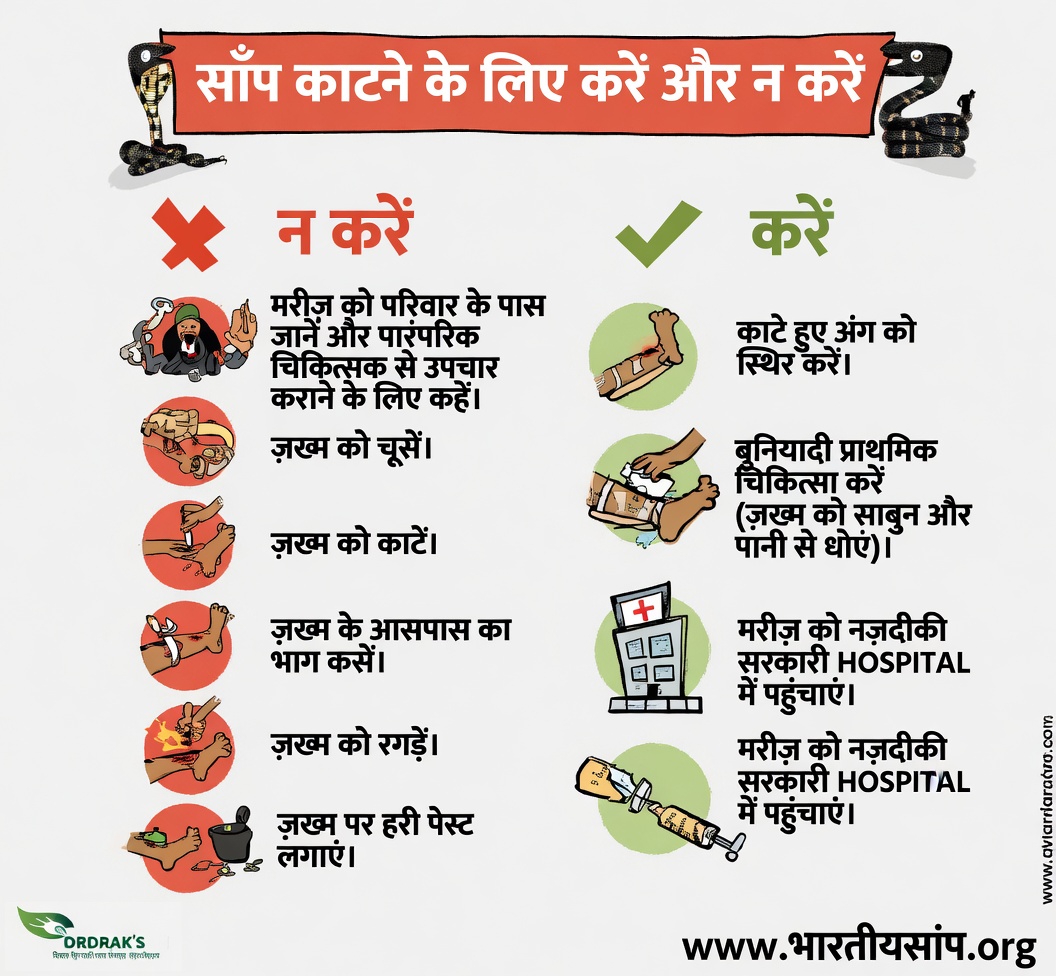 ज़हरीले और गैर-ज़हरीले साँप के काटने की पहचान कैसे करें: ज़रूरी संकेत और प्राथमिक उपचार के कदम