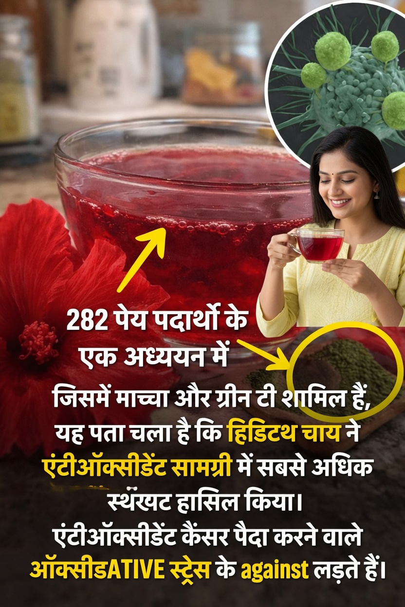 एक चौंकाने वाली खोज: 282 पेयों के एंटीऑक्सीडेंट स्तर के अध्ययन में हिबिस्कस चाय क्यों सबसे ऊपर रही