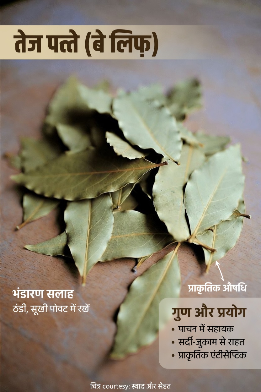 तेज पत्ता: इस आम रसोई की जड़ी-बूटी के संभावित स्वास्थ्य लाभों की पड़ताल