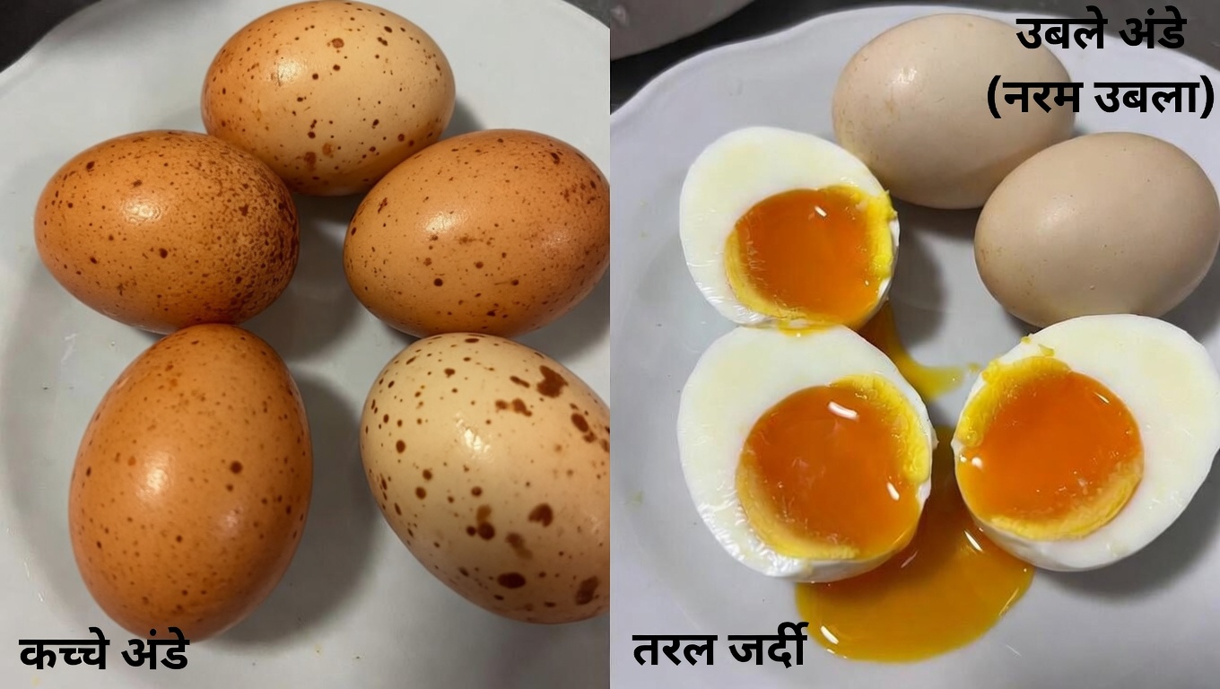 हर सुबह नाश्ते में उबले अंडे खाने के बारे में डॉक्टर और पोषण विशेषज्ञ क्या कहते हैं
