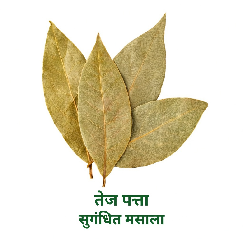 क्या तेजपत्ता एक सरल त्वचा-देखभाल आदत हो सकता है जिसे कई वृद्ध लोग नज़रअंदाज़ कर देते हैं?