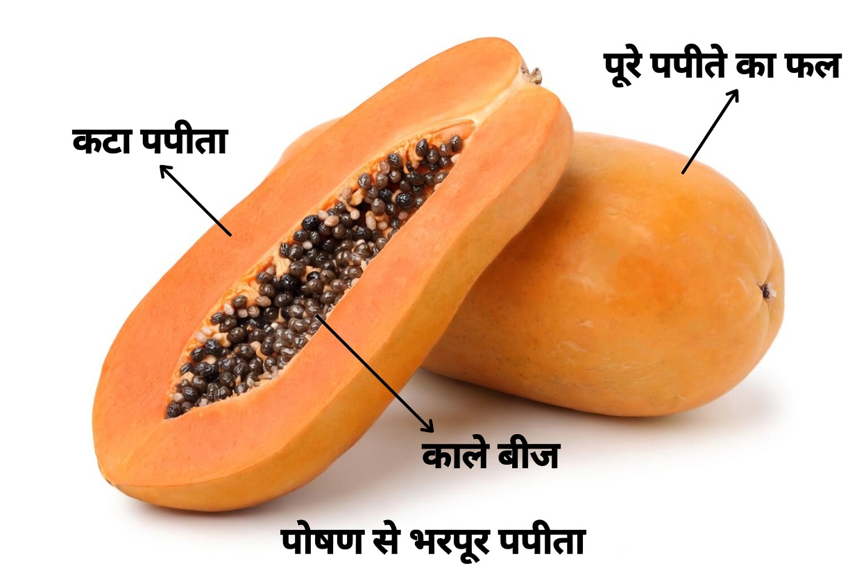 रात में क्रिएटिनिन बढ़ा हुआ? गुर्दों को सौम्य सहारा देने वाले 4 फल जिन्हें बुज़ुर्ग अक्सर नज़रअंदाज़ कर देते हैं