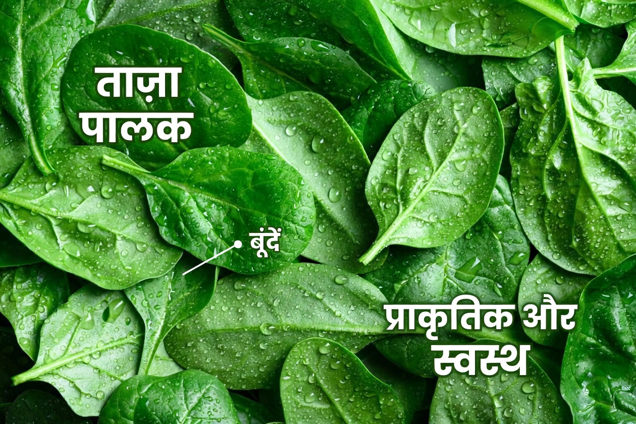 धमनियों को साफ रखने और हृदय स्वास्थ्य को समर्थन देने वाले शीर्ष 10 खाद्य पदार्थ