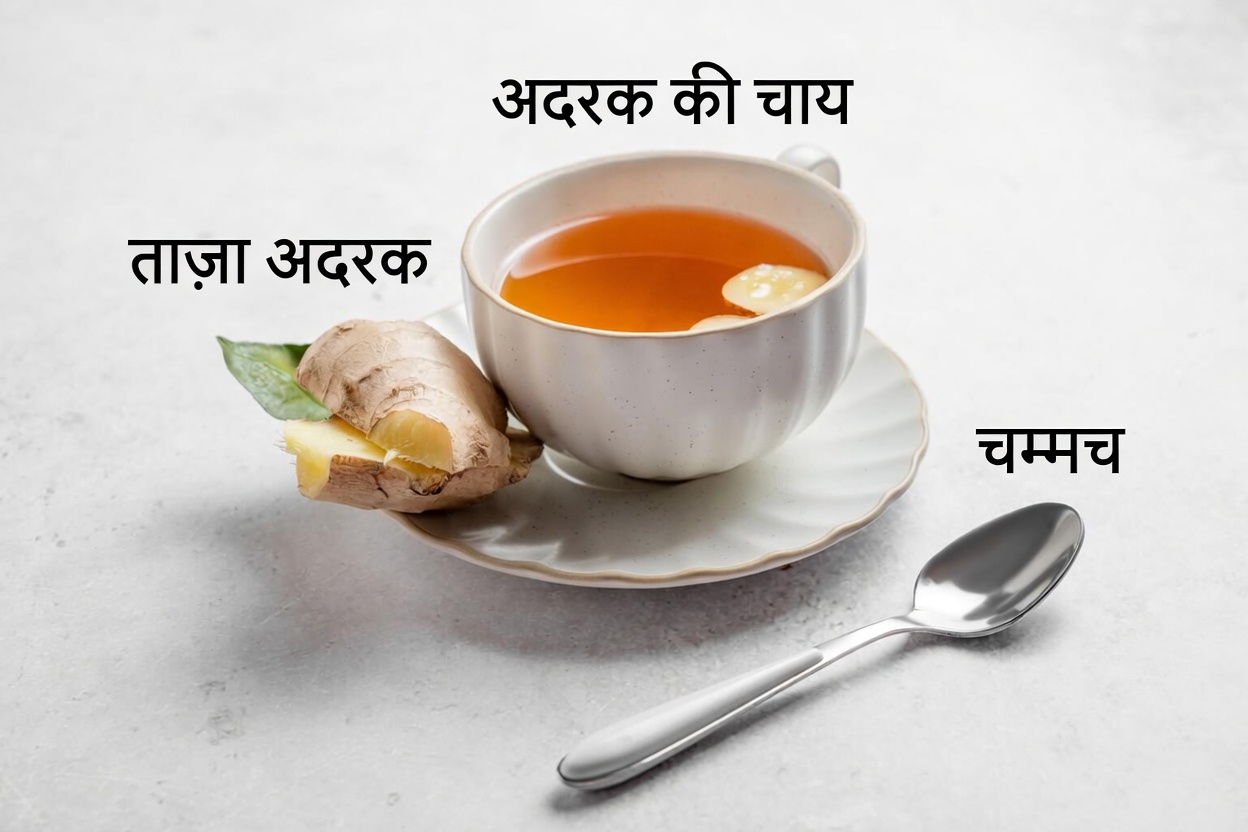 झागदार पेशाब की चेतावनी: 10 आसान पेय जो किडनी संतुलन को सहारा दे सकते हैं