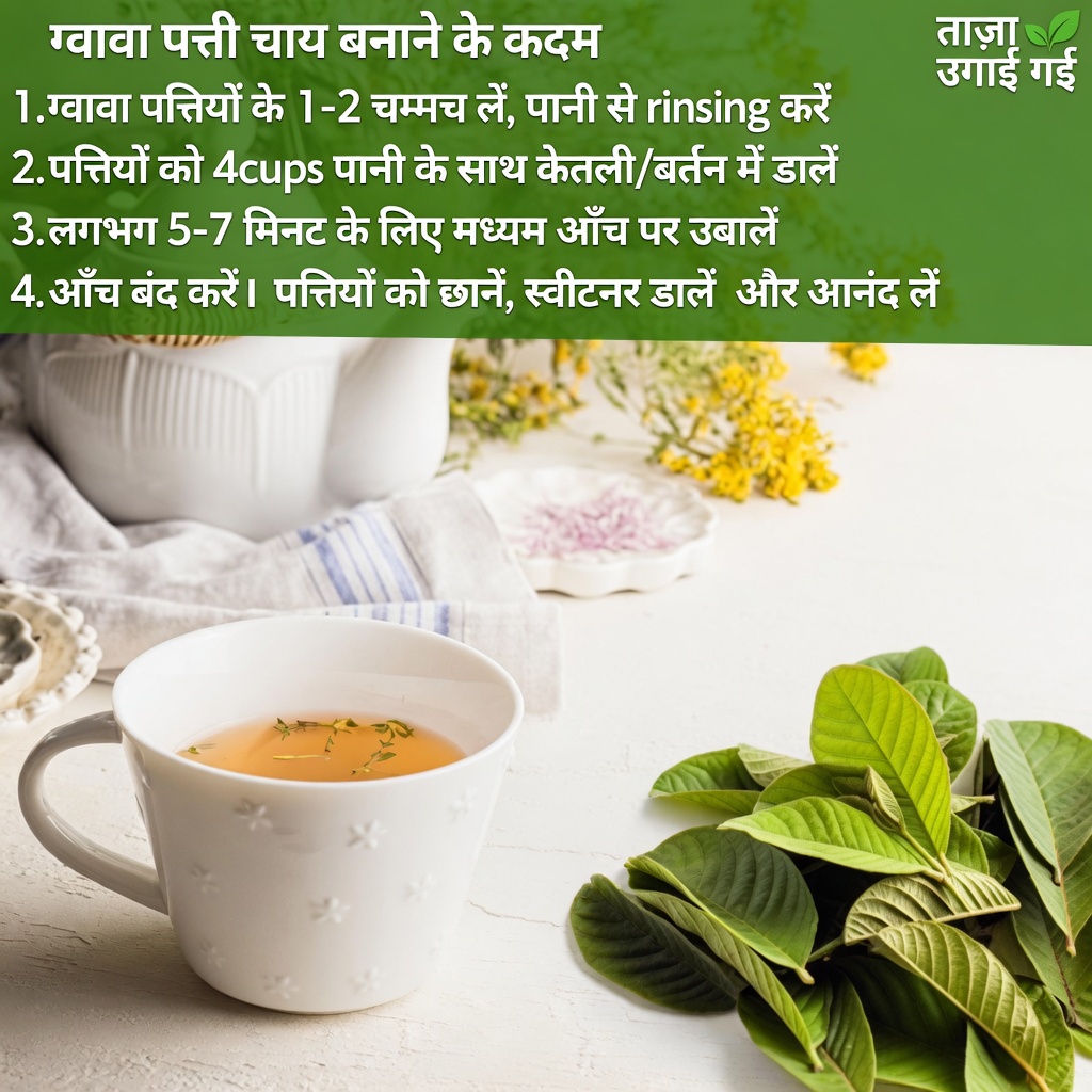 क्या अमरूद के पत्ते दाँतों की देखभाल में सहायक हो सकते हैं? मेक्सिको के बुजुर्गों को जानने चाहिए 3 पारंपरिक तरीके