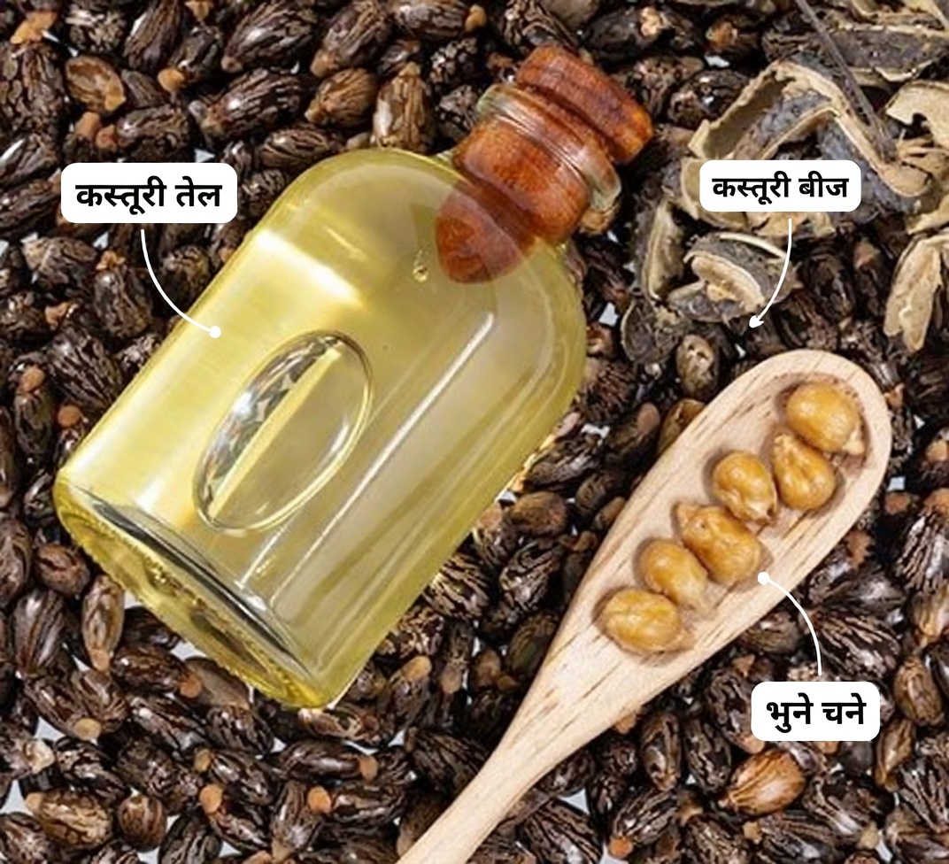 क्या अरंडी के तेल और शहद की 2 बूंदें 50 के बाद महिलाओं की मदद कर सकती हैं?