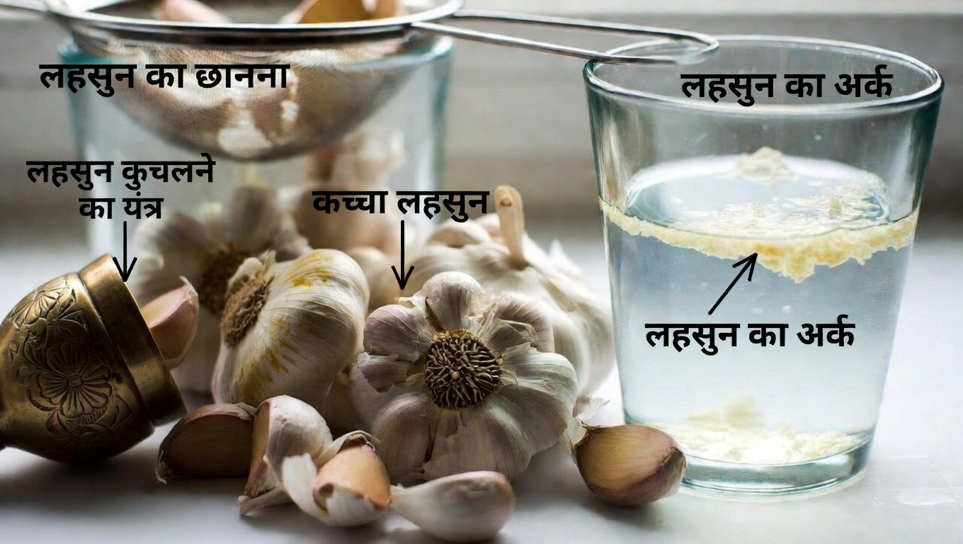 क्यों इतने सारे लोग हर सुबह खाली पेट लहसुन का पानी पीते हैं