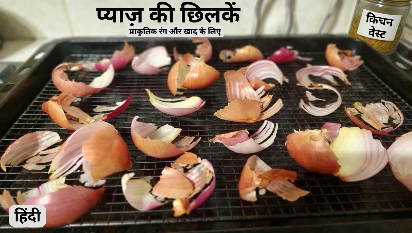 एक सरल लाल प्याज़ की रेसिपी से घर पर प्राकृतिक रूप से अपने मूत्राशय और प्रोस्टेट स्वास्थ्य को कैसे सहारा दें