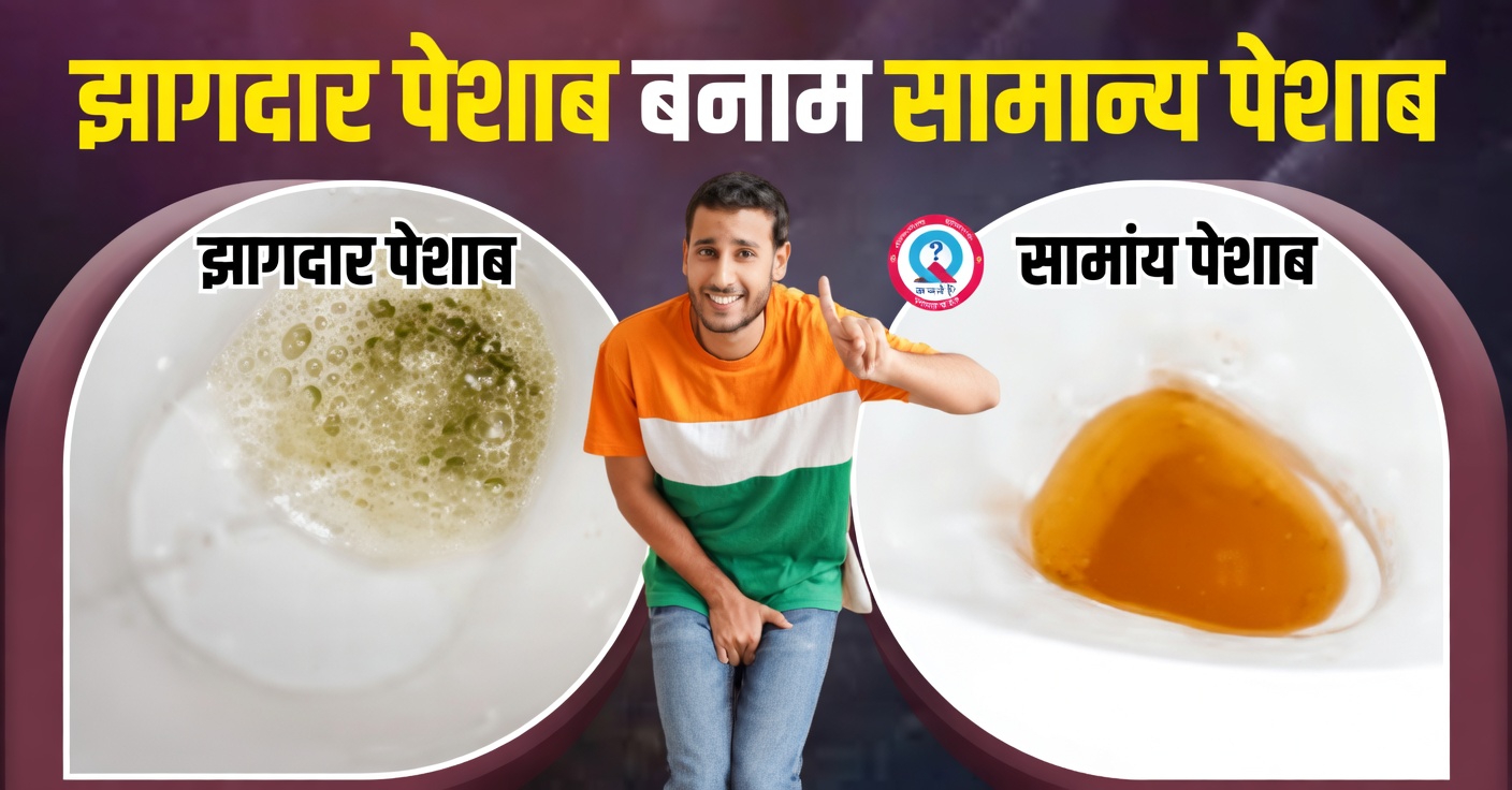 आपका मूत्र झागदार क्यों दिखता है? गुर्दों के स्वास्थ्य के इस सामान्य संकेत को समझें