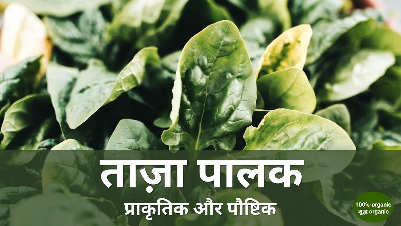 आपके शरीर में विटामिन K क्या भूमिका निभाता है?