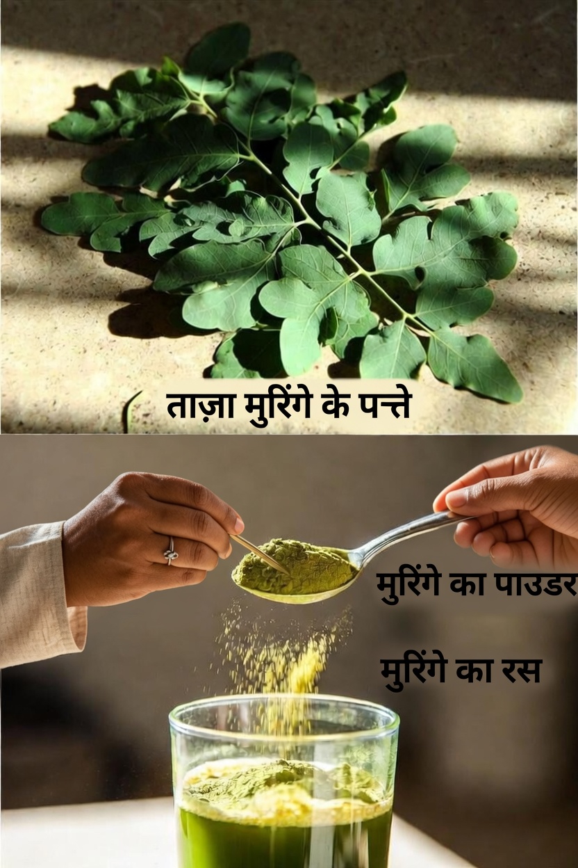 मोरिंगा पत्ती पाउडर के संभावित स्वास्थ्य लाभों की खोज: विज्ञान क्या संकेत देता है