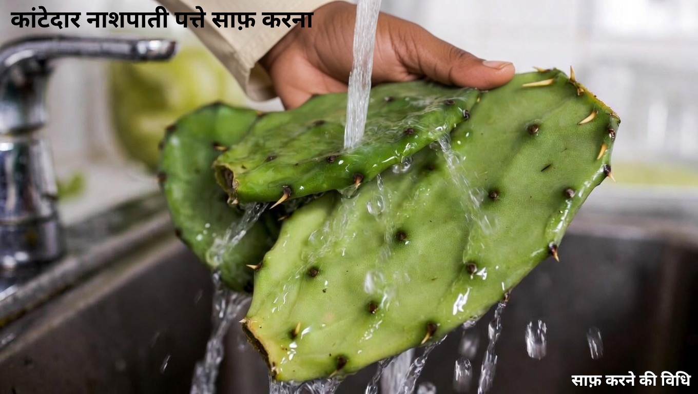 स्वस्थ रक्त शर्करा स्तर का समर्थन करने के लिए प्रिकली पियर कैक्टस की क्षमता की खोज