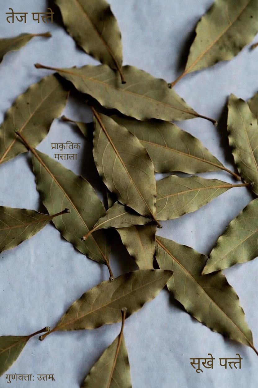 दैनिक जीवन में तेजपत्ते के संभावित स्वास्थ्य लाभों की पड़ताल