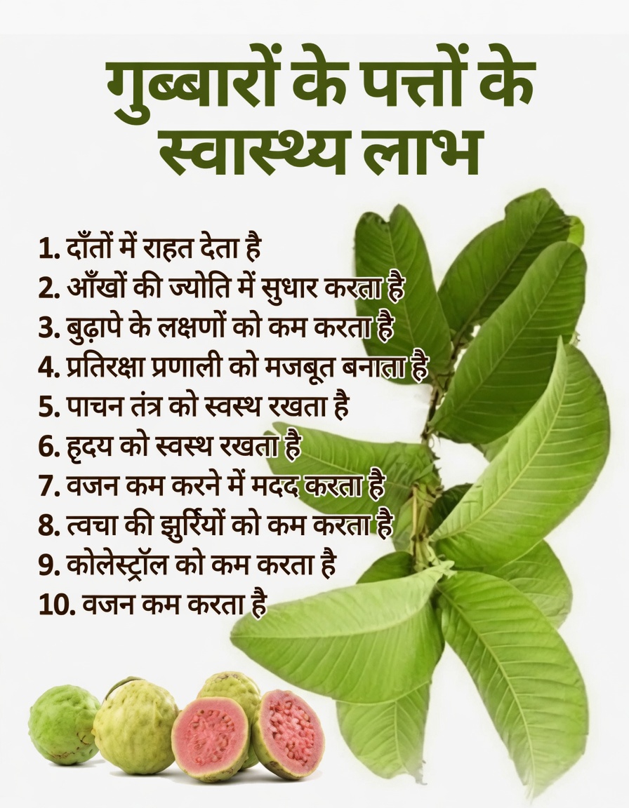 बेहतर मौखिक देखभाल आदतों के लिए अमरूद की पत्तियों का उपयोग करने के सरल तरीके खोजें