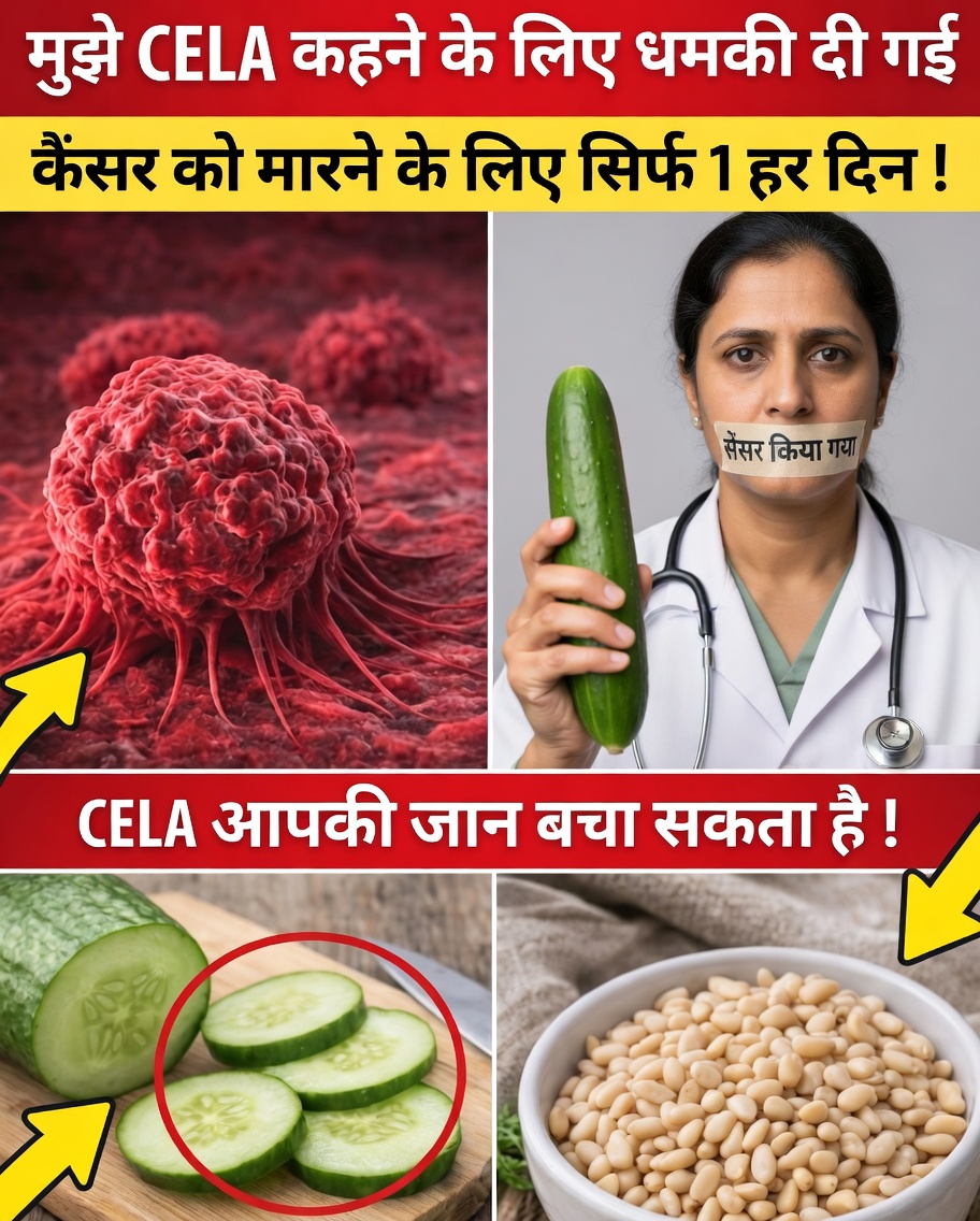 एक ऑन्कोलॉजिस्ट की चेतावनी: 10 खाद्य पदार्थ जो कोशिकीय सुरक्षा का समर्थन कर सकते हैं