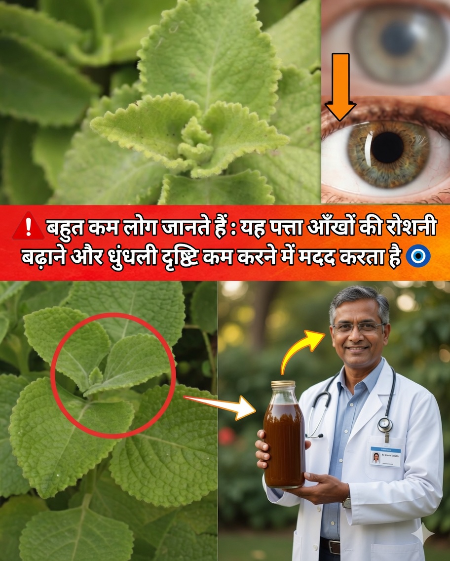 दृष्टि के लिए ओरिगैन ओरेखोन: प्राकृतिक उपचार, लाभ और उपयोग की विधि