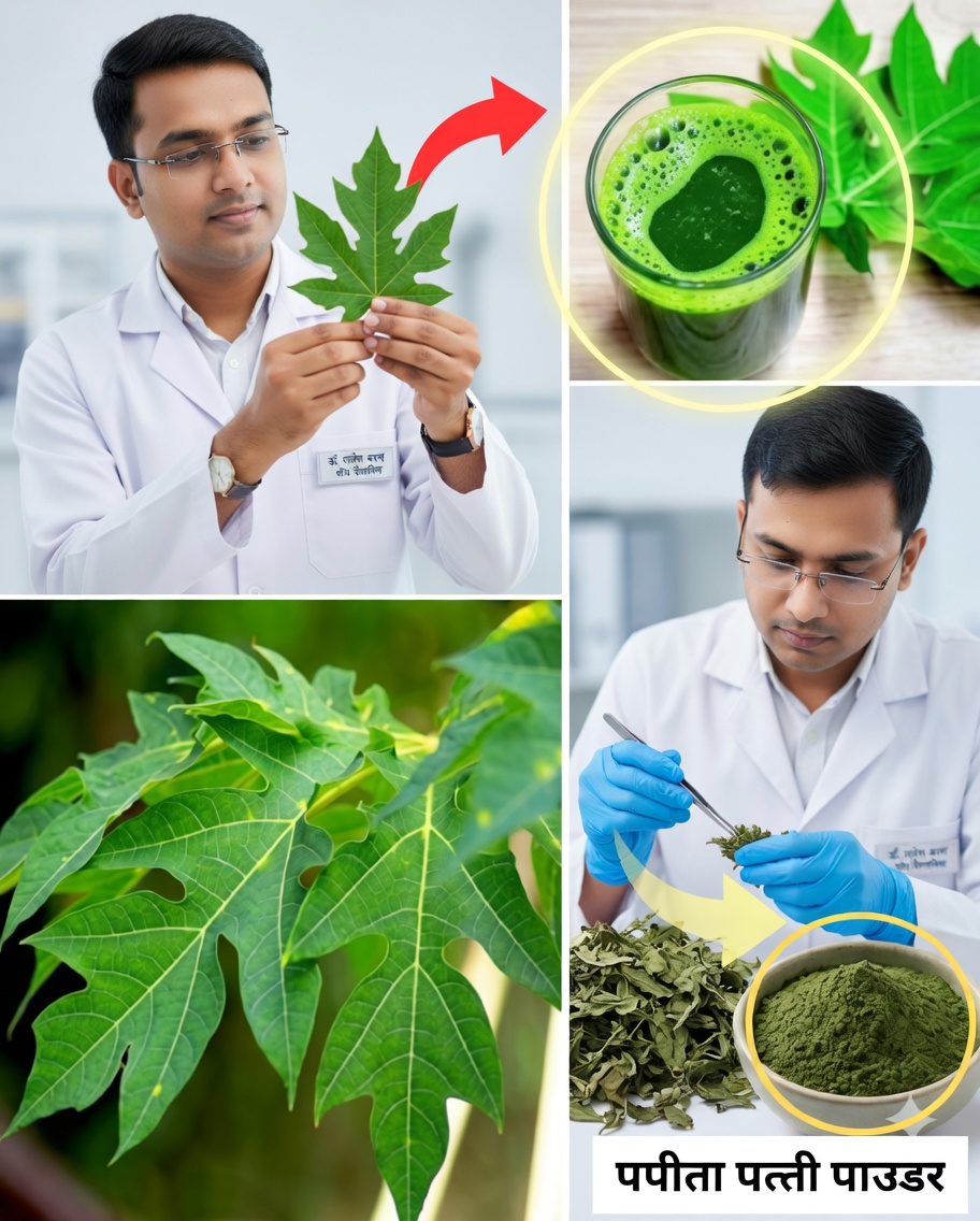 🌿 अंजीर की पत्तियाँ: इनका क्या उपयोग है और इनके लाभों का फायदा कैसे उठाएँ?