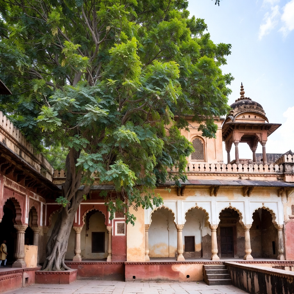 दृष्टि का वृक्ष: आपकी आँखों की देखभाल के लिए प्राकृतिक उपचार