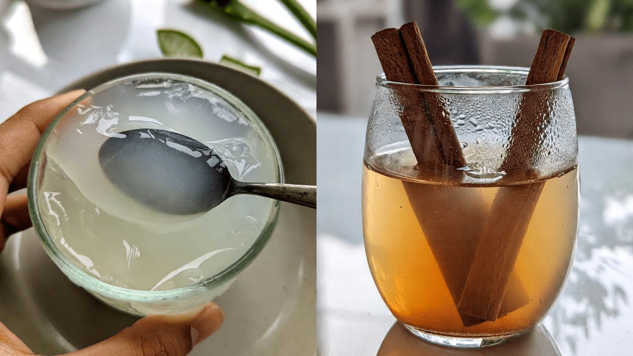 एलोवेरा और दालचीनी: स्वास्थ्य और आंखों के समर्थन के लिए प्राकृतिक सामग्री की खोज