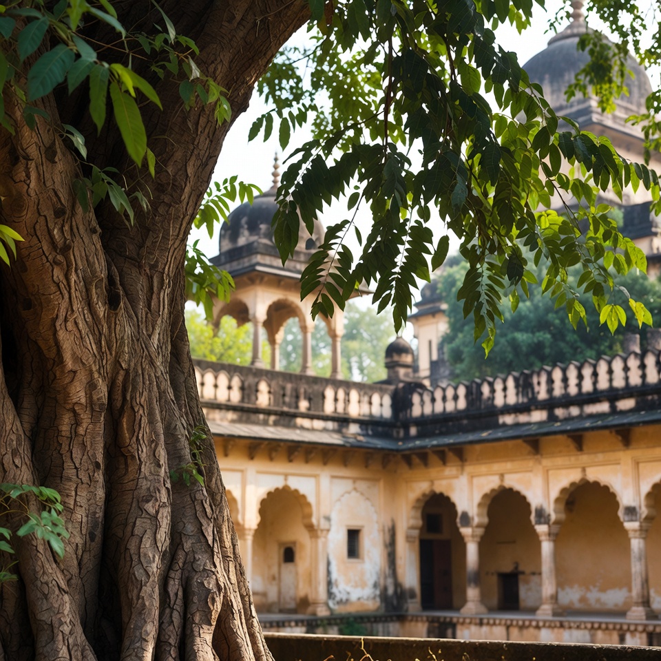 पपीते के रस की गुप्त शक्ति खोजें: आपके स्वास्थ्य के लिए प्रकृति का छिपा हुआ खजाना।