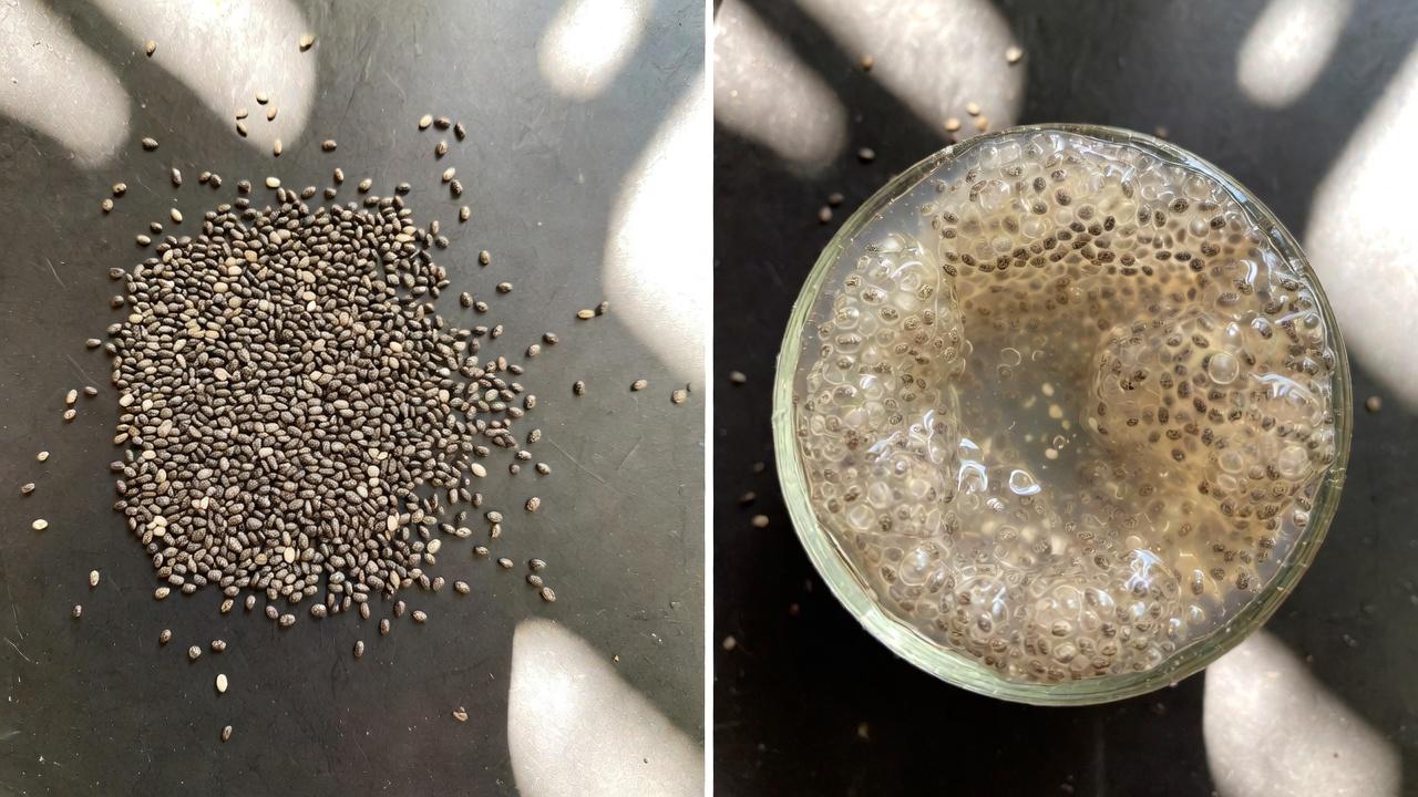 रोज़मर्रा के आराम के लिए कोलन का स्वास्थ्य क्यों महत्वपूर्ण है