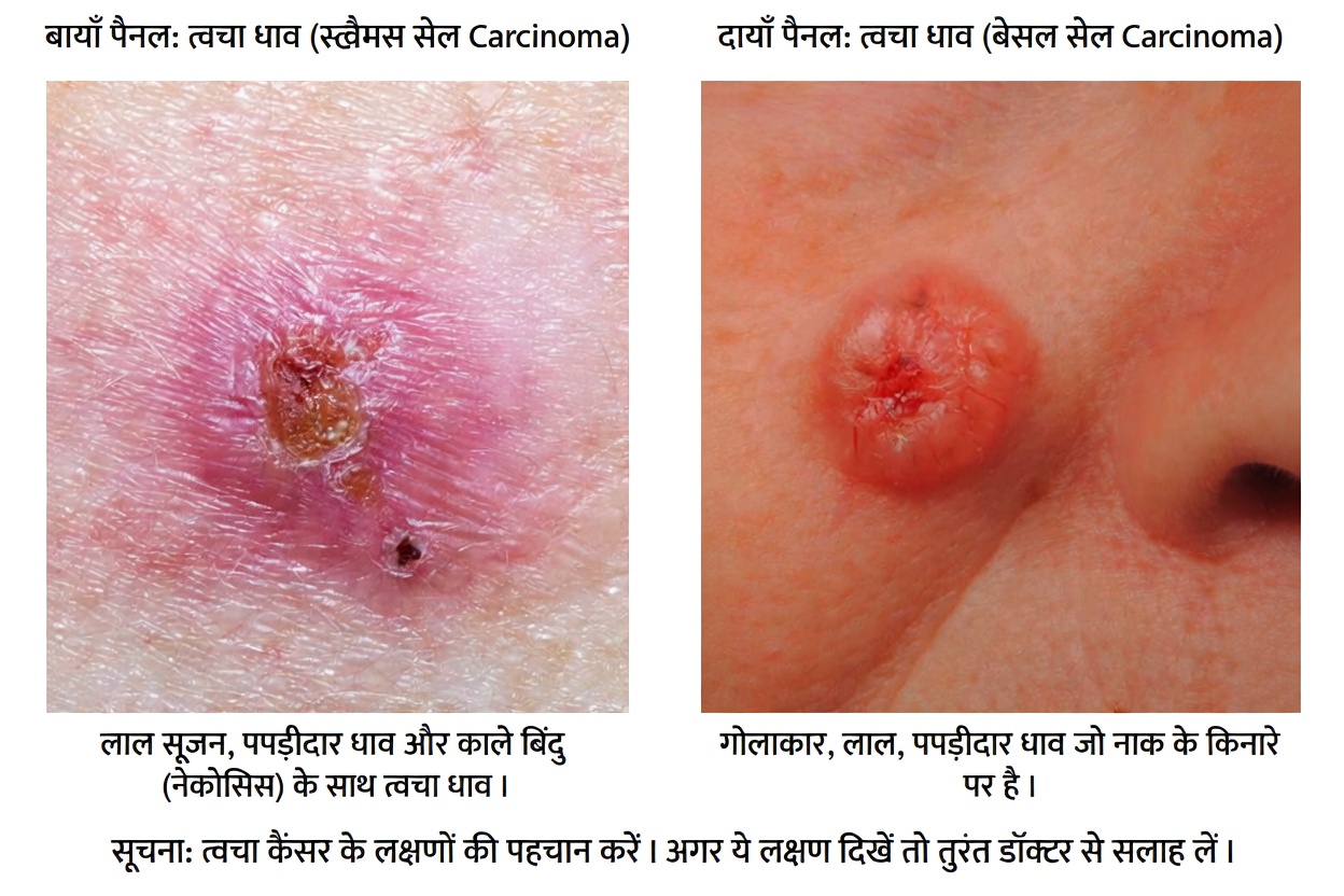 40 से अधिक उम्र की कई महिलाओं को शरीर में दिखने वाले 14 बदलावों को नज़रअंदाज़ नहीं करना चाहिए