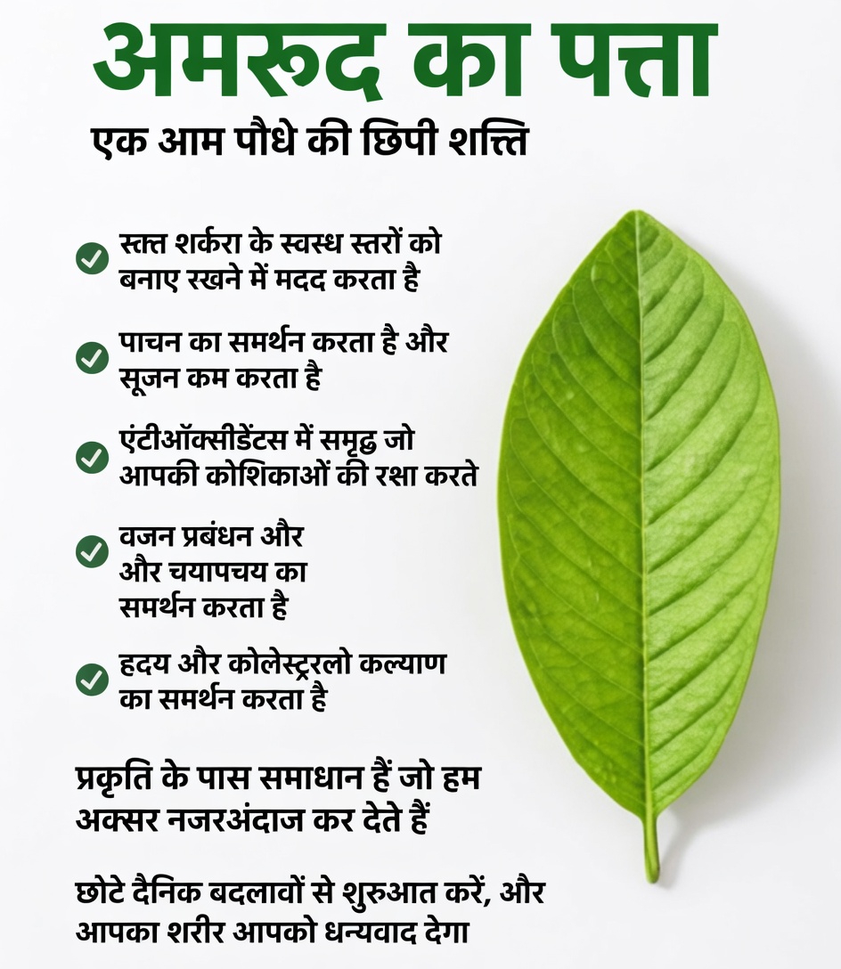 एक सरल सुबह की आदत की खोज: अमरूद के पत्तों की चाय और दैनिक रक्त शर्करा समर्थन में इसकी संभावित भूमिका