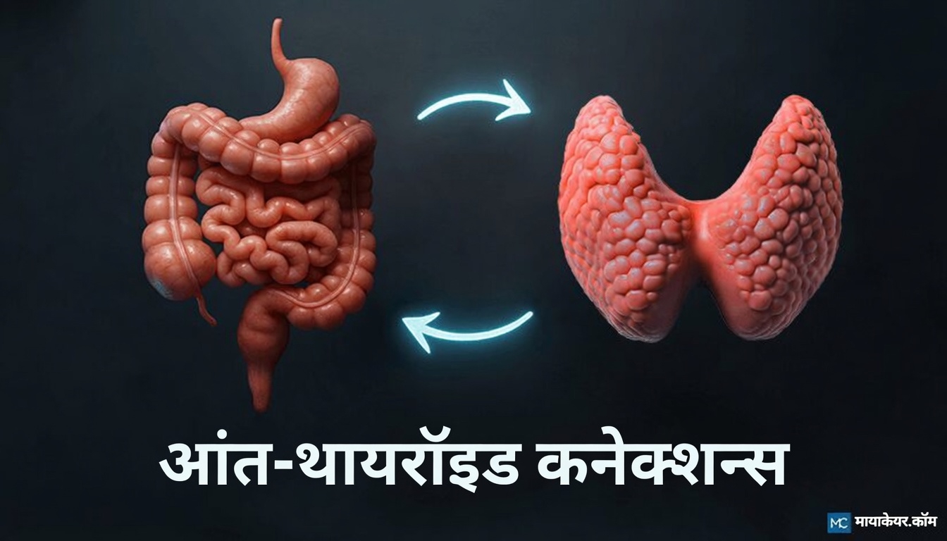 प्राकृतिक रूप से अपने थायरॉइड स्वास्थ्य को सहारा देने के लिए 6 सरल, विज्ञान-समर्थित कदम (और यह क्यों हर दिन आपके महसूस करने के तरीके को बदल सकता है)