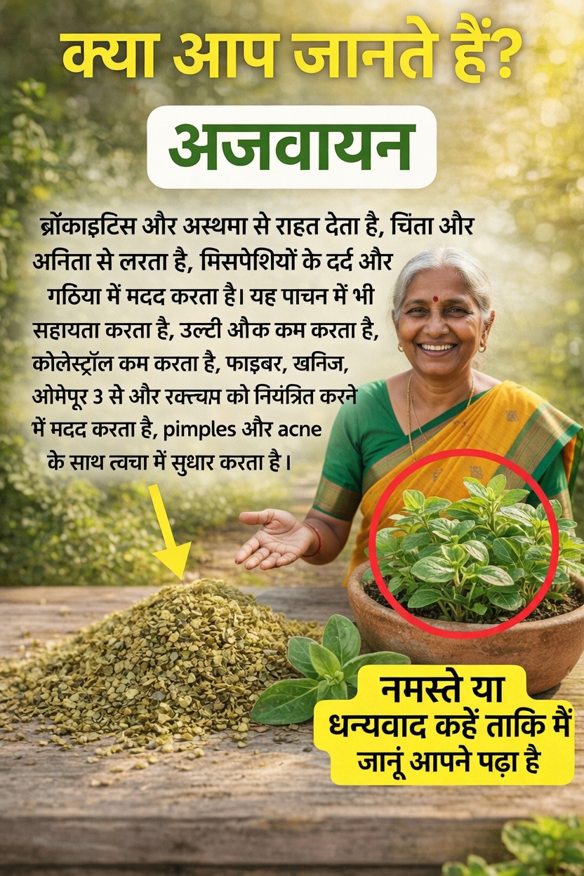 जानिए चौंकाने वाले तरीके जिनसे ओरिगैनो आपकी रोज़मर्रा की सेहतमंद दिनचर्या को सहारा दे सकता है