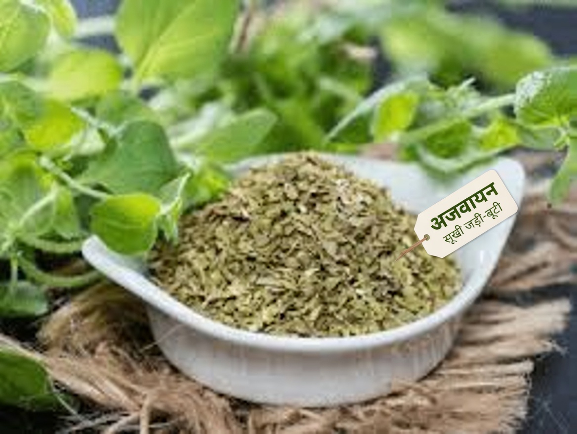 जानिए चौंकाने वाले तरीके जिनसे ओरिगैनो आपकी रोज़मर्रा की सेहतमंद दिनचर्या को सहारा दे सकता है